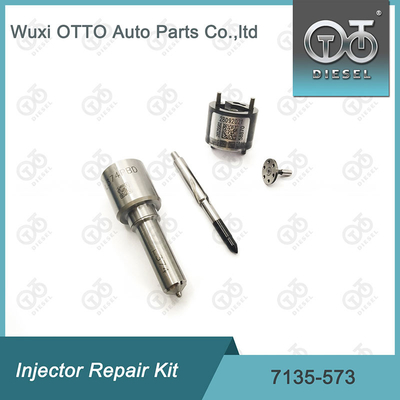 7135-573 inyectores 28229873/33800-4A710 de Delphi Injector Repair Kit For